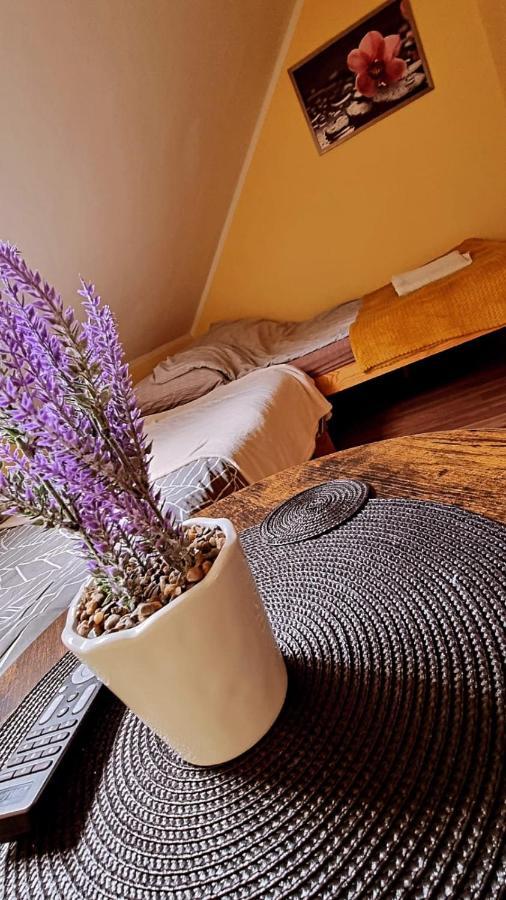 Apartmán Lesne Klimaty Polańczyk Exteriér fotografie